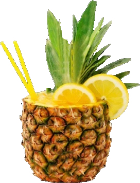 Pina Colada Pina Colada